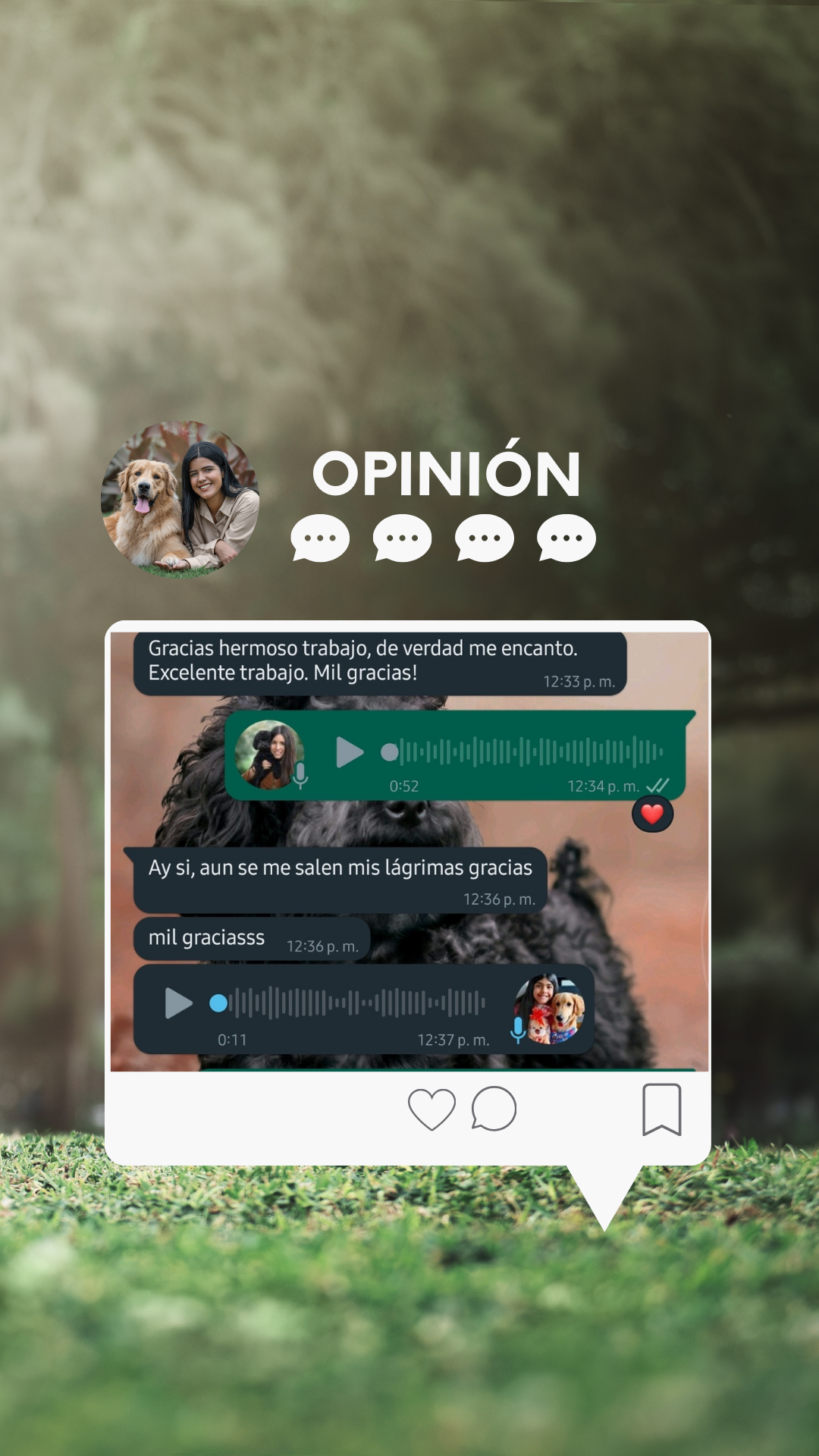 TestimonioMarlon